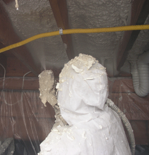 Garland TX crawl space insulation